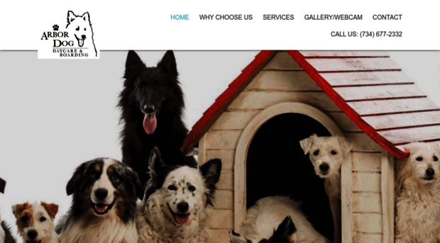 arbordogdaycare.com