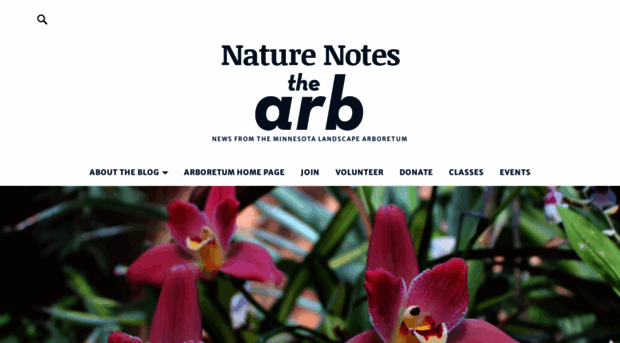 arboretumnaturenotes.wordpress.com