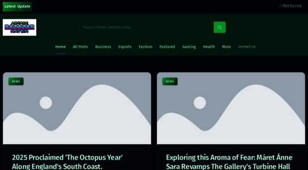 arcadebazaarhaven.com