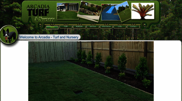 arcadiaturf.com.au