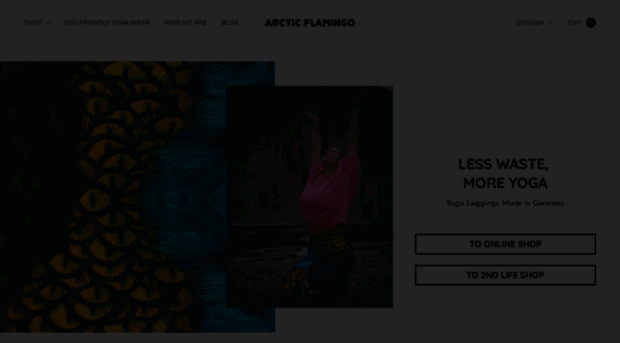 arctic-flamingo.com