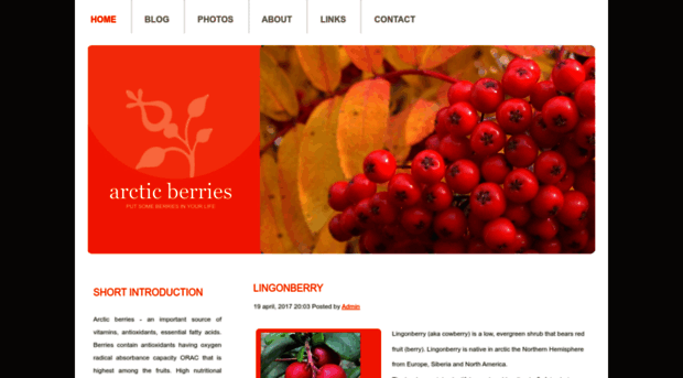 arcticberries.se