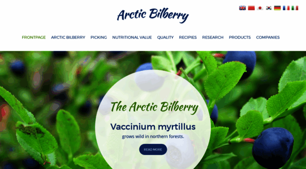 arcticbilberry.fi