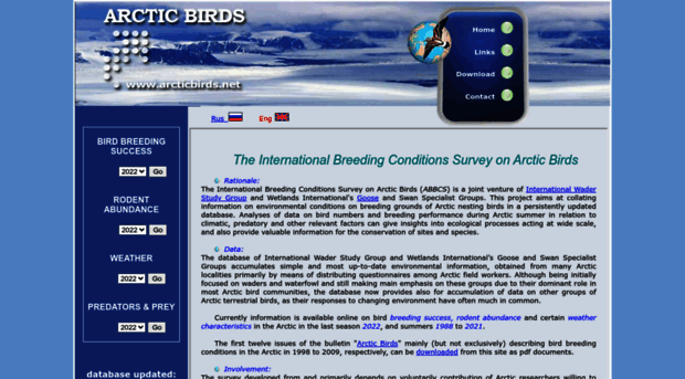 arcticbirds.net