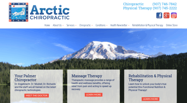 arcticchiropalmer.com