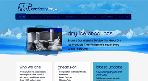 arcticdryiceinc.com