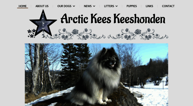 arctickees.com