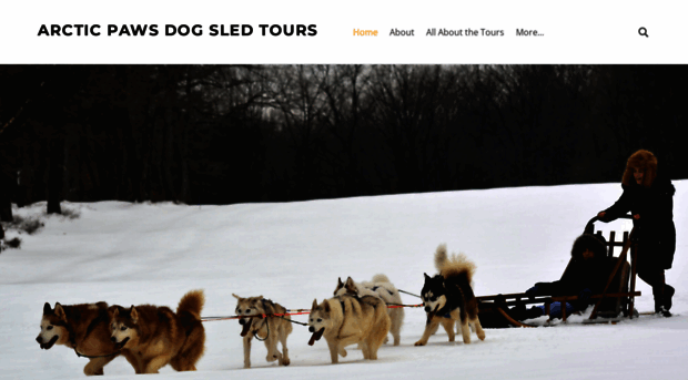 arcticpawsdogsledtours.com