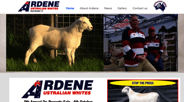 ardene.com.au