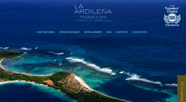 ardilena.com