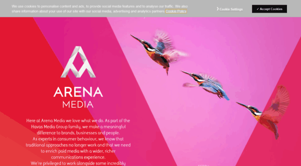 arenamedia.com