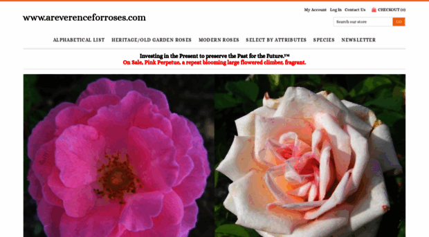 areverenceforroses.com