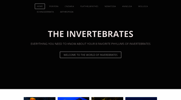 areyouinvertebrate.weebly.com