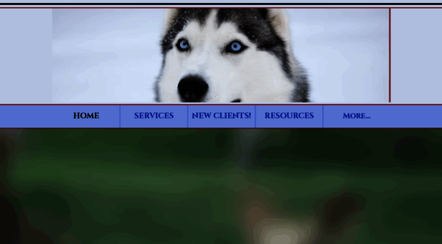 argosdogtraining.com