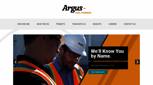 argusconsulting.com