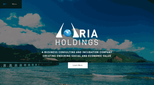 aria-holdings.com