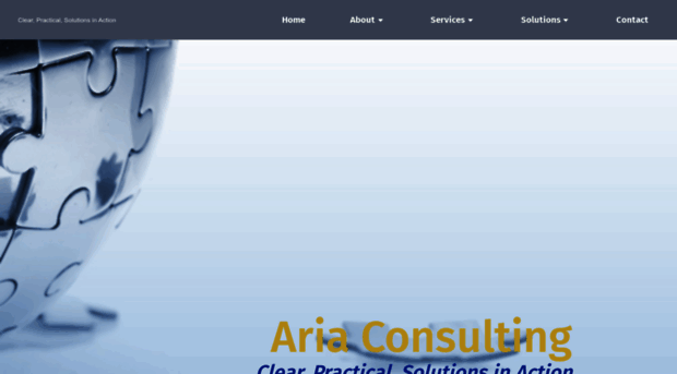 ariaconsulting.net