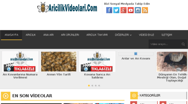 aricilikvideolari.com