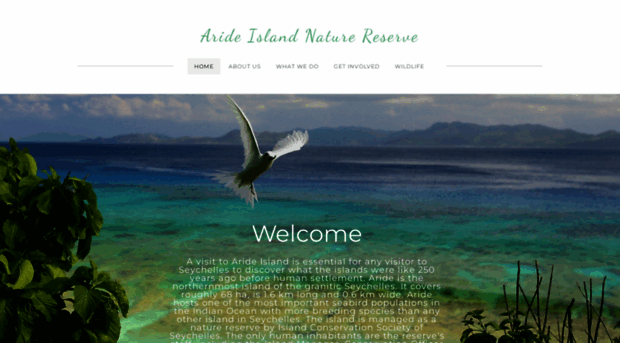 arideisland.com