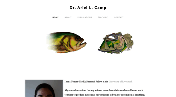 arielcamp.weebly.com