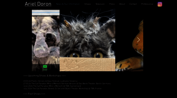 arieldoron.com