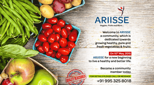 ariisse.com