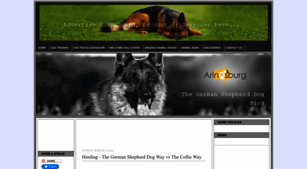 aringsburgkennel.blogspot.qa