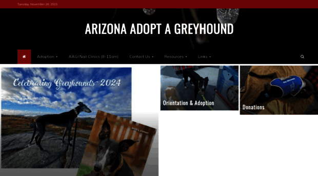 arizonaadoptagreyhound.org