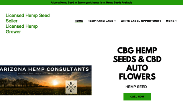 arizonahempconsultants.com