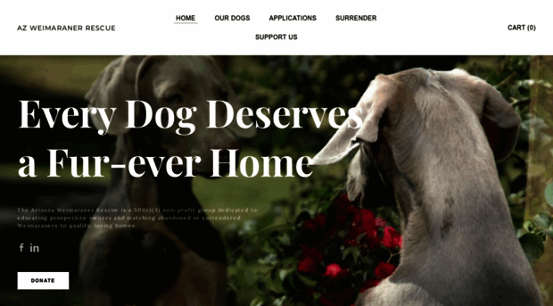 arizonaweimaranerrescue.com