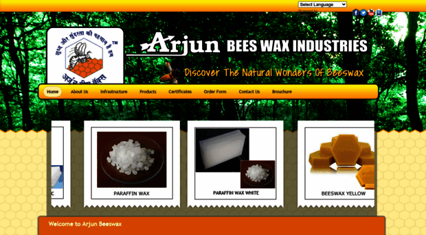 arjunbeeswax.com