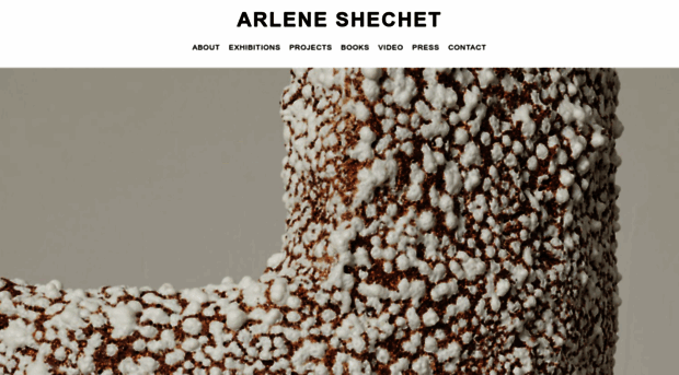 arleneshechet.net