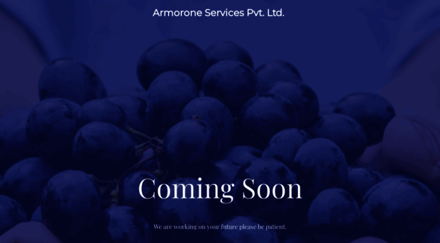 armoroneservices.com