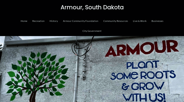 armoursd.com