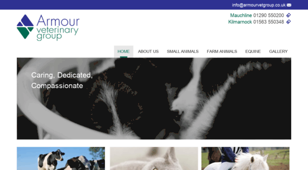 armourvetgroup.co.uk