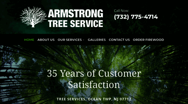 armstrongtreeservice.com