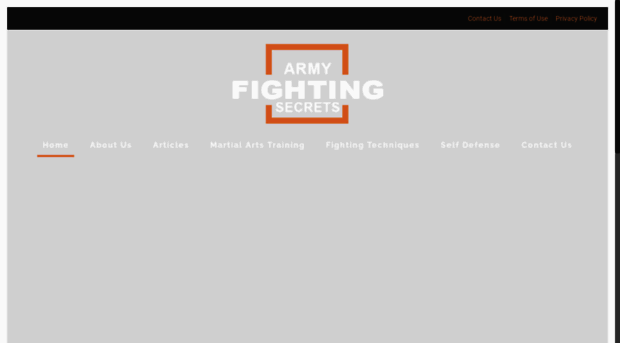 armyfightingsecrets.com