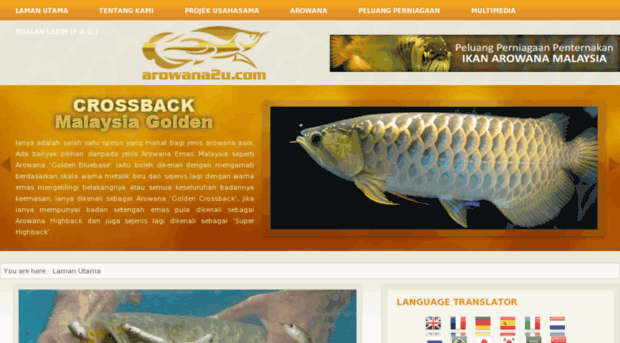 arowana2u.com