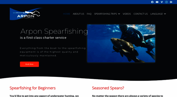 arponspearfishing.com