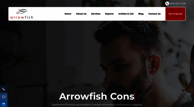 arrowfishconsulting.com