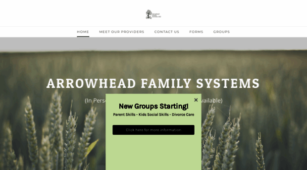 arrowheadfamilysystems.com