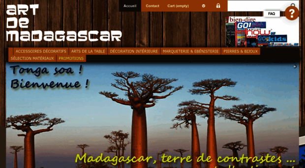 art-de-madagascar.com