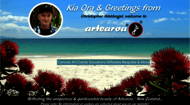 artearoa.com