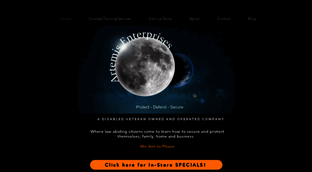 artemisenterprises.com