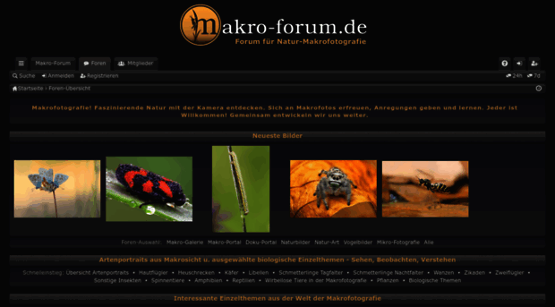 artengalerie.makro-forum.de