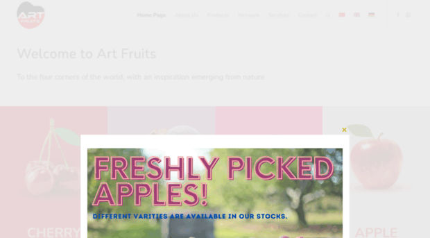 artfruits.com.tr