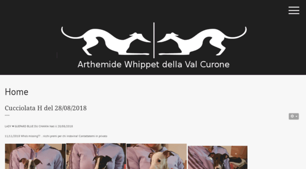 arthemidewhippet.it