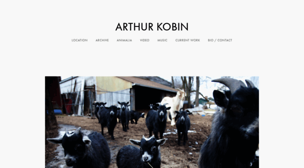 arthurkobin.com