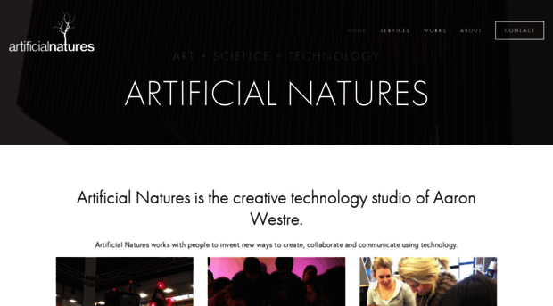 artificialnatures.com