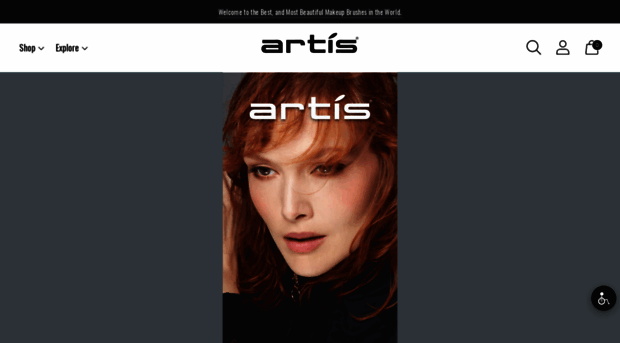 artisbrush.com